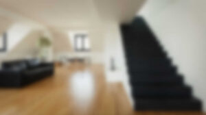 Discover All Features Discover All Features -